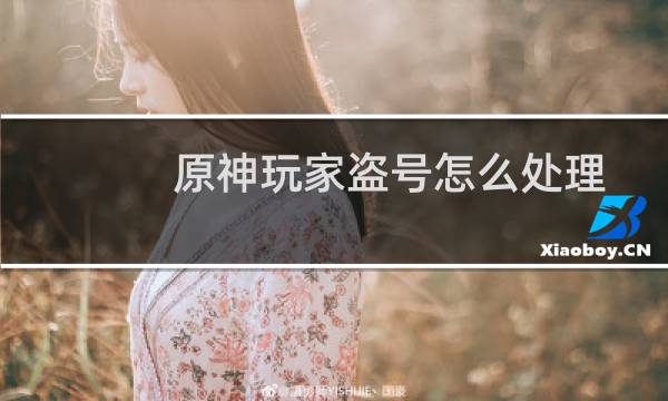 原神玩家盗号怎么处理