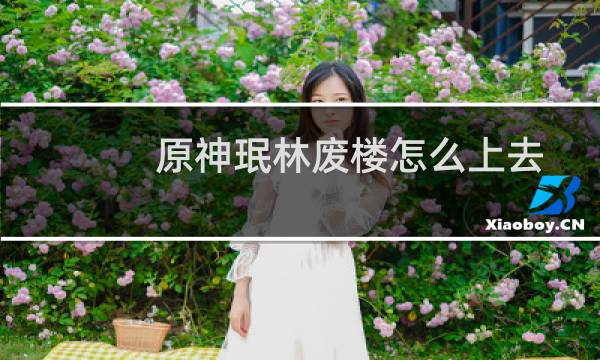 原神珉林废楼怎么上去