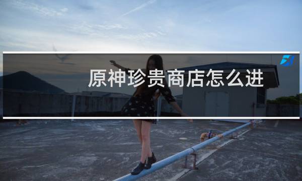 原神珍贵商店怎么进