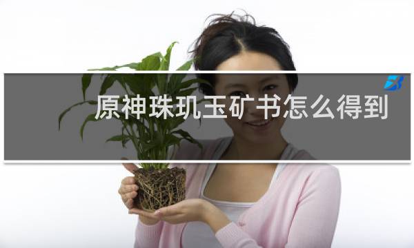 原神珠玑玉矿书怎么得到