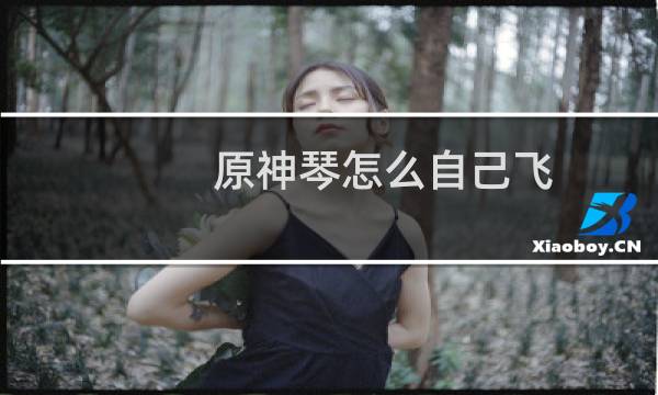 原神琴怎么自己飞