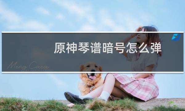 原神琴谱暗号怎么弹