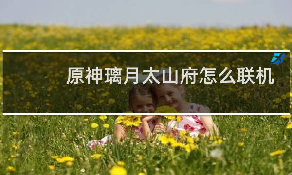 原神璃月太山府怎么联机