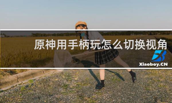 原神用手柄玩怎么切换视角