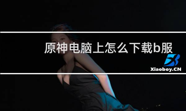 原神电脑上怎么下载b服