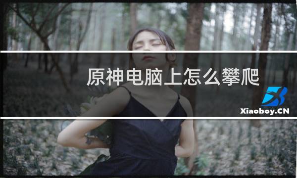 原神电脑上怎么攀爬