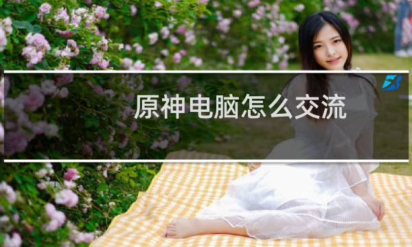 原神电脑怎么交流