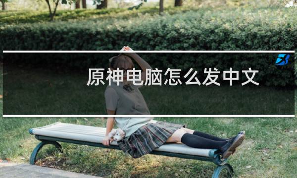 原神电脑怎么发中文