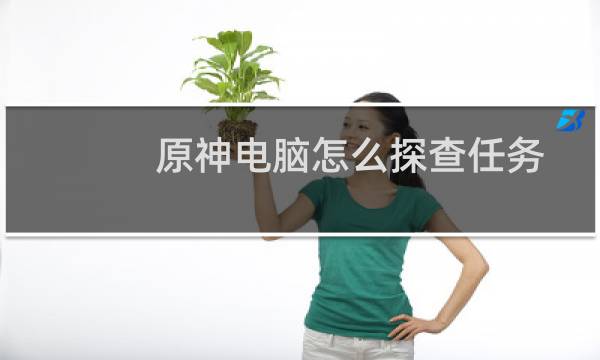 原神电脑怎么探查任务