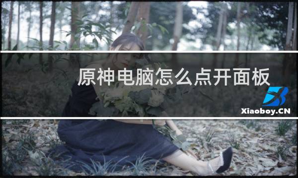 原神电脑怎么点开面板