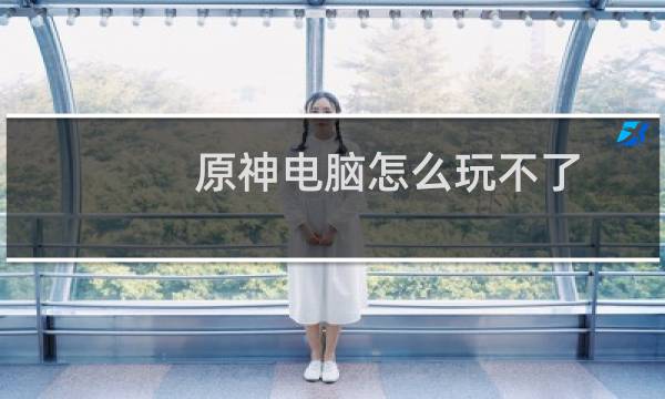 原神电脑怎么玩不了