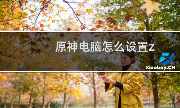 原神电脑怎么设置z