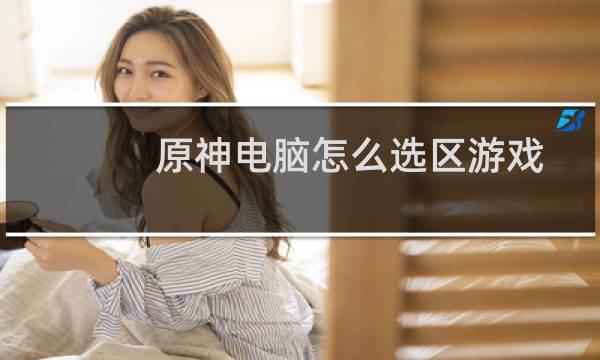 原神电脑怎么选区游戏