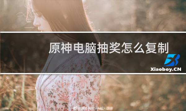 原神电脑抽奖怎么复制