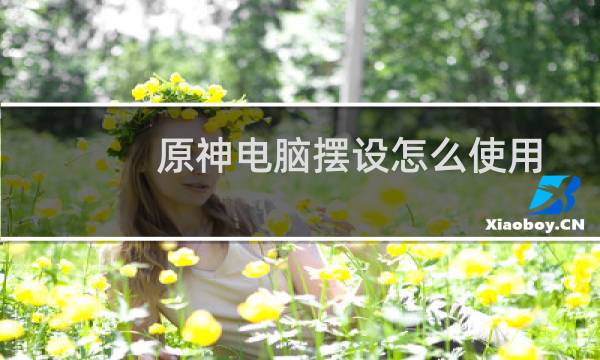 原神电脑摆设怎么使用