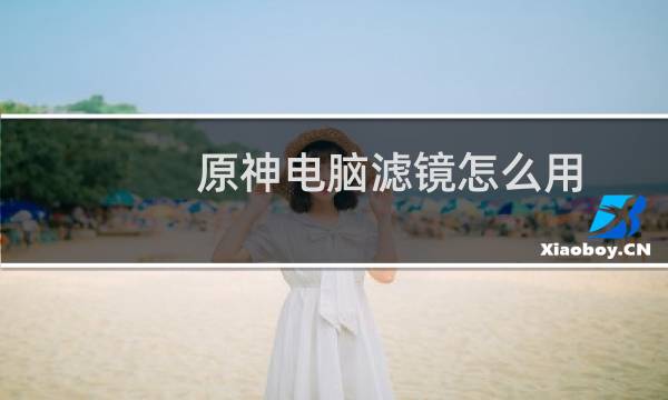 原神电脑滤镜怎么用