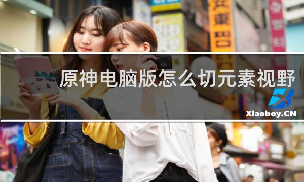 原神电脑版怎么切元素视野