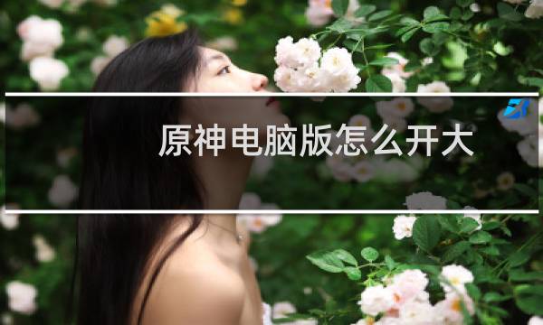 原神电脑版怎么开大