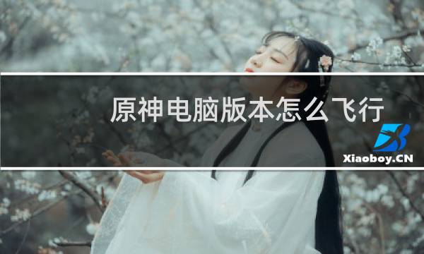 原神电脑版本怎么飞行
