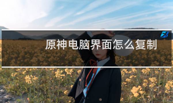 原神电脑界面怎么复制