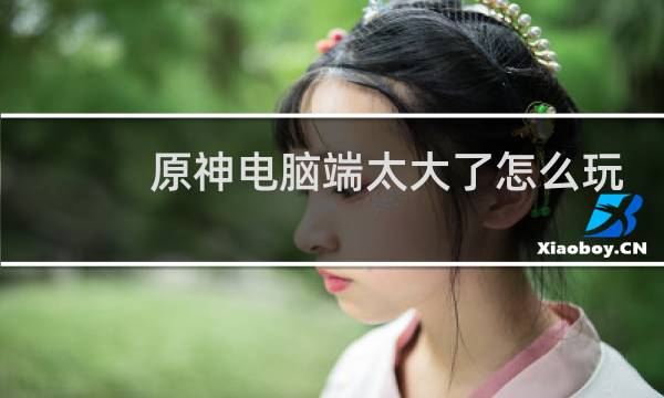 原神电脑端太大了怎么玩