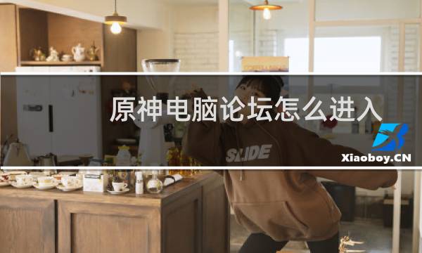 原神电脑论坛怎么进入