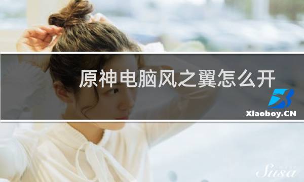 原神电脑风之翼怎么开