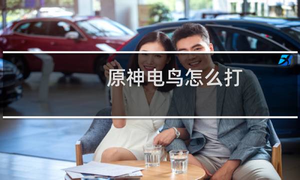 原神电鸟怎么打