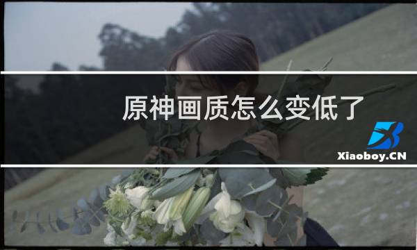 原神画质怎么变低了