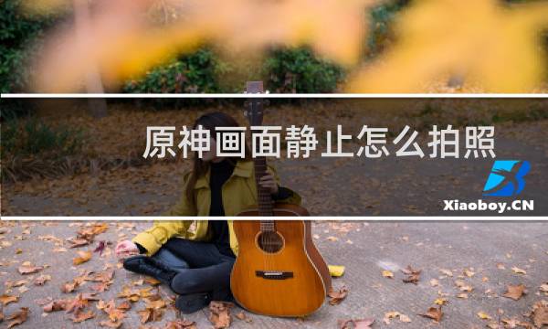 原神画面静止怎么拍照