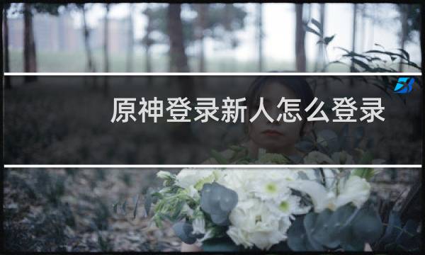 原神登录新人怎么登录