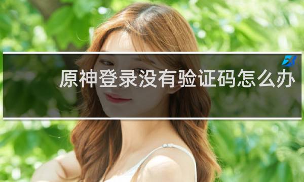 原神登录没有验证码怎么办