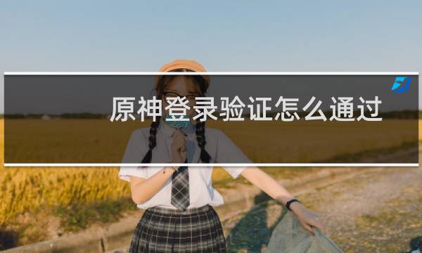 原神登录验证怎么通过