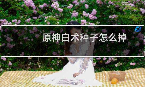 原神白术种子怎么掉