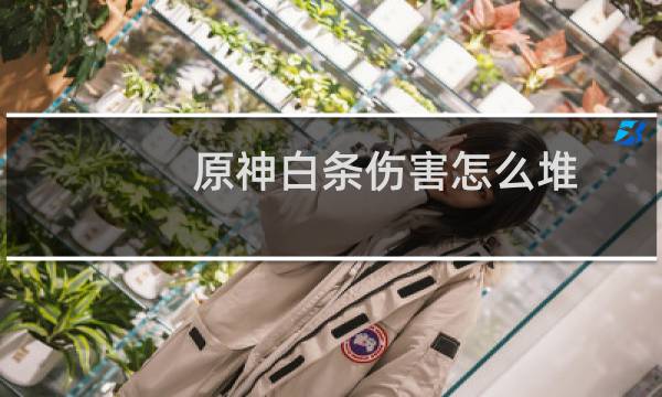 原神白条伤害怎么堆