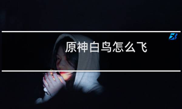 原神白鸟怎么飞