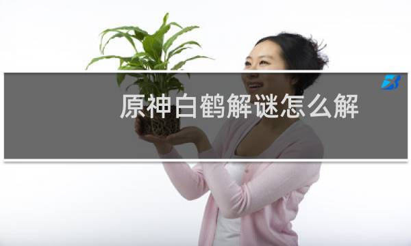 原神白鹤解谜怎么解
