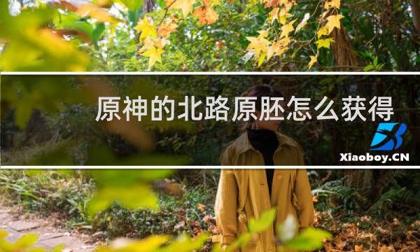 原神的北路原胚怎么获得