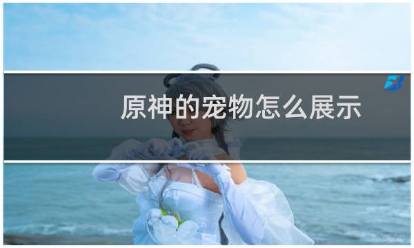 原神的宠物怎么展示