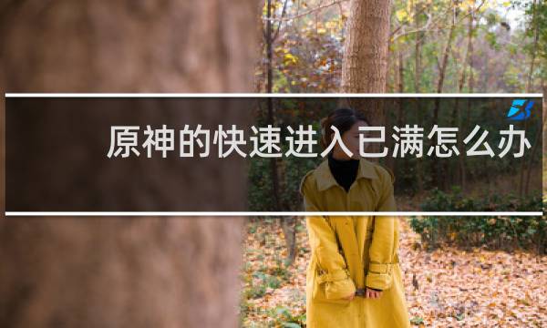 原神的快速进入已满怎么办