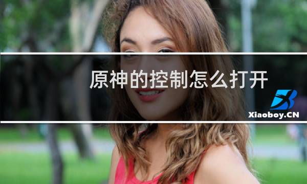原神的控制怎么打开