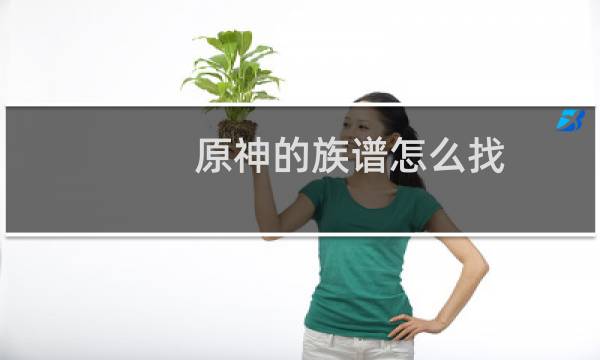 原神的族谱怎么找
