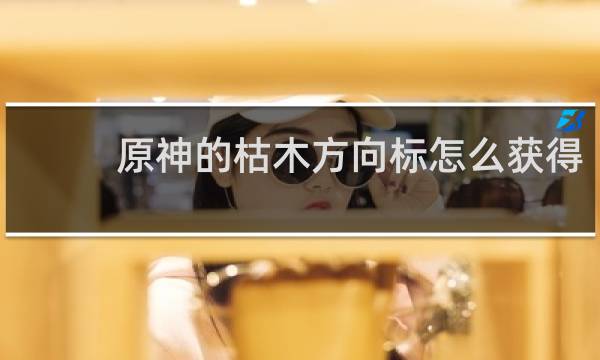 原神的枯木方向标怎么获得