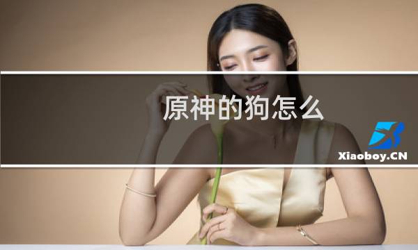 原神的狗怎么