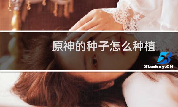 原神的种子怎么种植