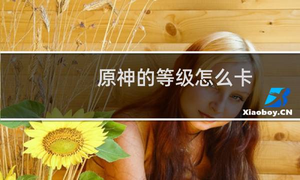 原神的等级怎么卡