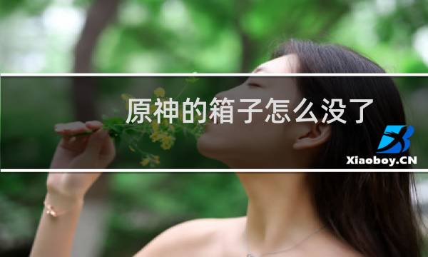 原神的箱子怎么没了