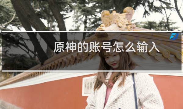 原神的账号怎么输入