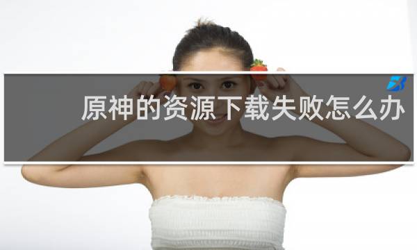 原神的资源下载失败怎么办