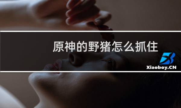 原神的野猪怎么抓住